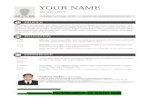 Pmi pmp-resume template-9