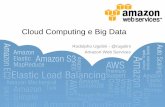 Cloud computing e big data