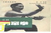 Chien-Teh Shaolin Fist Leopard-1990