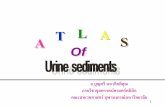 Atlas Urine Sediment