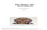 Ernst Haeckel - Die Natur Als Kuenstlerin (1913)
