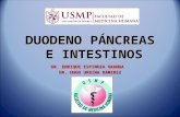 Duodeno Pancreas e Intestino