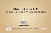 NET Forge - START