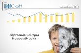 Результаты исследования "Торговые центры Новосибирска"