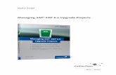 Managing sap upgrade_projects