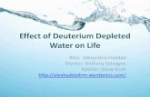 Effect of deuterium depleted water on life
