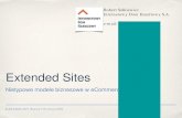 Extended Sites - IDH SA - eHandel 2011