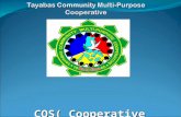 Cooperative Orientation Seminar Presentation
