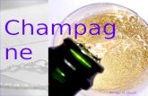 Champagne - a presentation of the worlds best drink!