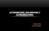 ACTINOMICOSIS, NOCARDIOSIS Y ACTINOMICETOMA (fitzpatrik).pptx