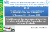 Kamgna Cie 2010 Diversification et Mobilisation des ressources internes