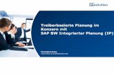 Webinar: Treiberbasierte Planung im Konzern mit SAP BW Integrierter Planung (IP)