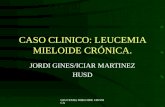 LMC "LEUCEMIA MIELOIDE CRONICA"