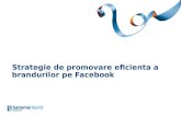 Strategie de promovare eficienta a brandurilor pe Facebook (ianuarie 2011)