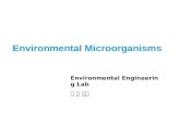 Microorganisms in the Environment and Waste Water Treatment Plant