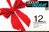 Diocean insight v19_201212