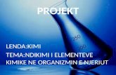Projekt kimi (1)