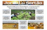 Jornal do Sertão Edição 95 Janeiro  2014