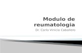Modulo de reumatologia