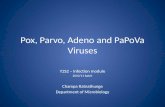Pox, Parvo, Adeno and Papova Viruses - Copy.pptx