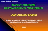 USG Intensif 1. ISUOG Basic OBGYN Ultrasound Training JJE 20090126