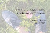 День Подсолнуха - международный день городского садоводства и огородничества
