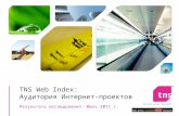 TNS Web index report  07.2011