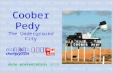 Coober pedy (庫伯佩迪)