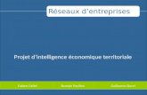 Intelligence économique territoriale et réseaux d'entreprise