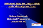 Efficient Way to Learn SAS With Virtually No Cost