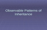Lecture Observable Patterns OfIinheritance 2010