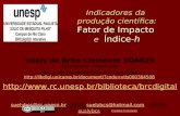Indicadores da Produção Científica (Scientific Production Indicators)
