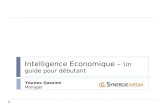 Intelligence Economique - Un guide pour débutant