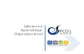 Presentacion PCOs International 2011
