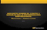 Reporte 2012 sobre la Información Empresarial LATAM (Symantec)