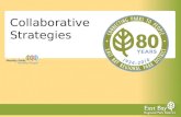 Collaborative Strategies - Denise Defreese - Stewardship Working Group