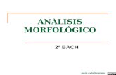 Analisis morfologico 2ºbach 2010