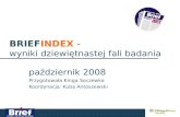 2008 10, Gazeta.Pl, Drivery I Bariery Reklamy Internetowej W Ramach Brief Index