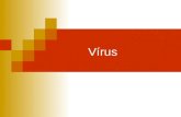 Virus, AULA DE VIRUS