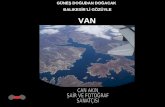 Van Can Akin