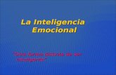 Inteligencia Emocional La Otra Inteligencia