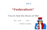 Federalism  ch 4