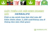 Herbalife presentation