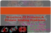 Structure, functions and folding problems of protein