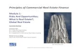 Principles of Commercial Real Estate Finance Module 1 Slides