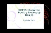 Necropsy Protocol Poultry