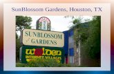 SunBlossom Gardens