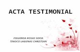 Acta Testimonial