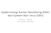 Epidemiologi Kanker Nasofaring (KNF) dan Epstein-Barr Virus (EBV)