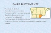 Bahia bustamante